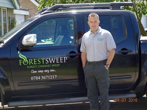 Forest sweep photo